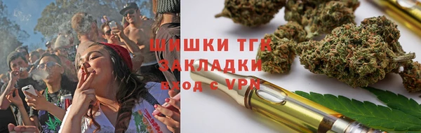 apvp Горняк