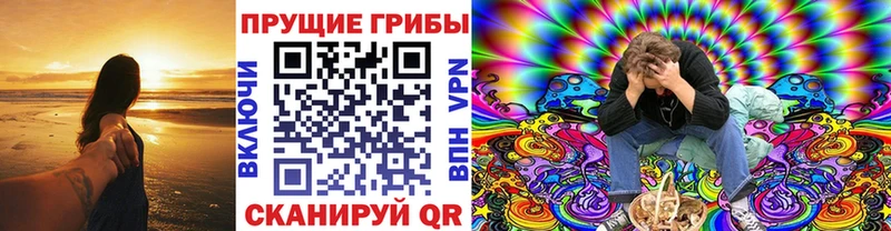 Псилоцибиновые грибы MAGIC MUSHROOMS  мега сайт  Нефтекамск  купить  цена 
